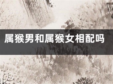 属猴男和属猴女相配吗