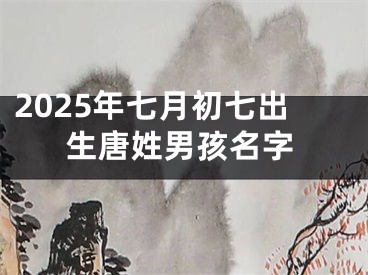 2025年七月初七出生唐姓男孩名字