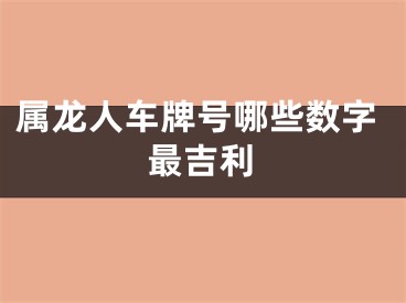 属龙人车牌号哪些数字最吉利