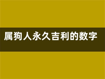 属狗人永久吉利的数字