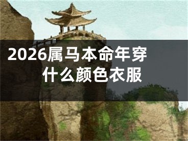 2026属马本命年穿什么颜色衣服