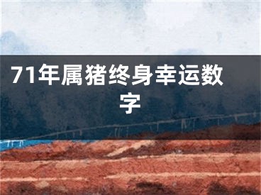 71年属猪终身幸运数字