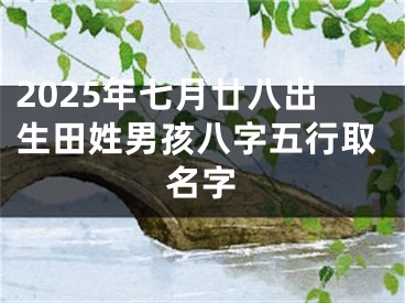 2025年七月廿八出生田姓男孩八字五行取名字