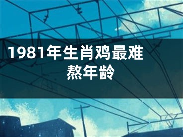 1981年生肖鸡最难熬年龄