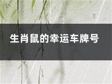 生肖鼠的幸运车牌号
