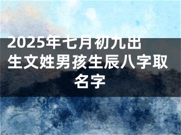 2025年七月初九出生文姓男孩生辰八字取名字