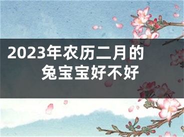 2023年农历二月的兔宝宝好不好