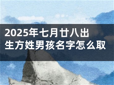 2025年七月廿八出生方姓男孩名字怎么取