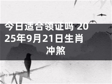 今日适合领证吗 2025年9月21日生肖冲煞