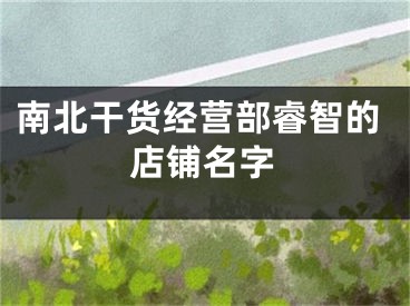 南北干货经营部睿智的店铺名字