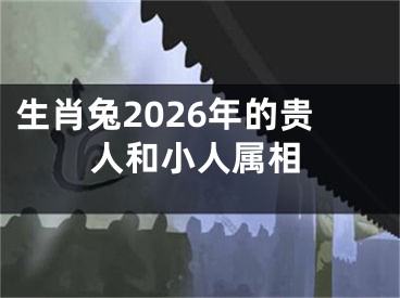 生肖兔2026年的贵人和小人属相