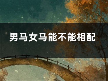 男马女马能不能相配