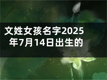 文姓女孩名字2025年7月14日出生的
