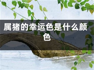 属猪的幸运色是什么颜色