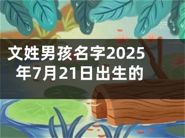 文姓男孩名字2025年7月21日出生的
