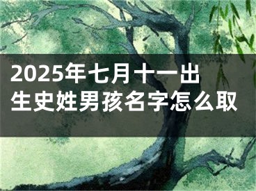 2025年七月十一出生史姓男孩名字怎么取