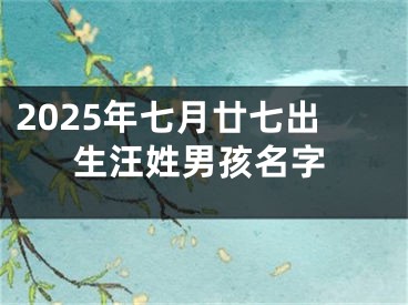 2025年七月廿七出生汪姓男孩名字