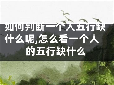 如何判断一个人五行缺什么呢,怎么看一个人的五行缺什么