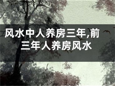 风水中人养房三年,前三年人养房风水