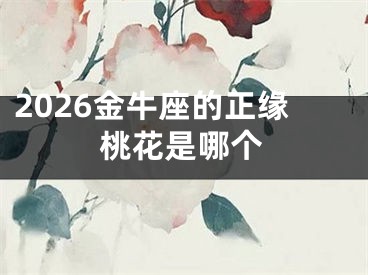 2026金牛座的正缘桃花是哪个