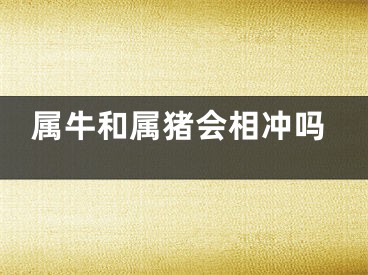 属牛和属猪会相冲吗
