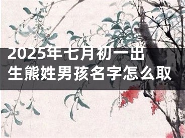 2025年七月初一出生熊姓男孩名字怎么取