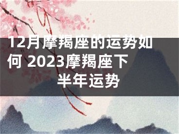 12月摩羯座的运势如何 2023摩羯座下半年运势