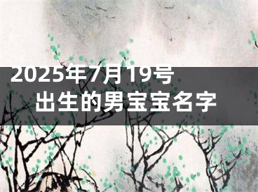 2025年7月19号出生的男宝宝名字