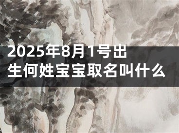 2025年8月1号出生何姓宝宝取名叫什么