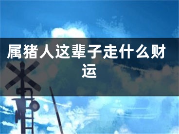 属猪人这辈子走什么财运