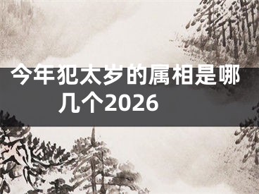 今年犯太岁的属相是哪几个2026