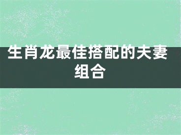 生肖龙最佳搭配的夫妻组合
