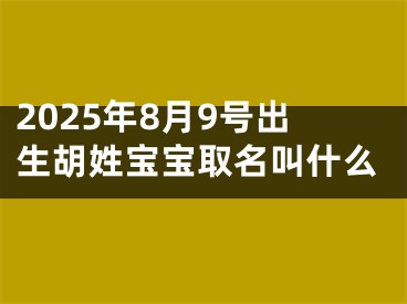2025年8月9号出生胡姓宝宝取名叫什么