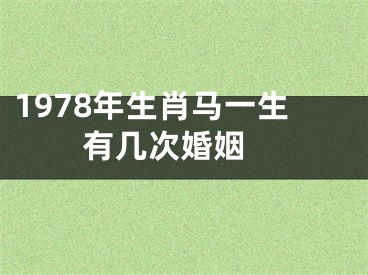 1978年生肖马一生有几次婚姻 