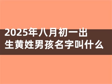 2025年八月初一出生黄姓男孩名字叫什么