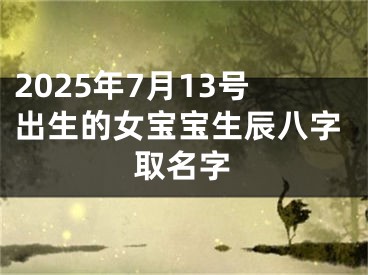 2025年7月13号出生的女宝宝生辰八字取名字