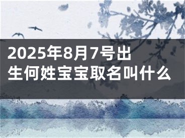 2025年8月7号出生何姓宝宝取名叫什么