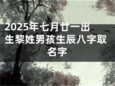 2025年七月廿一出生黎姓男孩生辰八字取名字