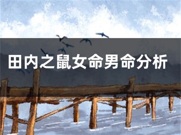 田内之鼠女命男命分析