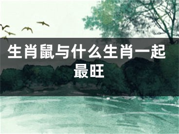 生肖鼠与什么生肖一起最旺