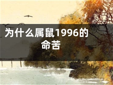 为什么属鼠1996的命苦 