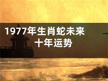 1977年生肖蛇未来十年运势