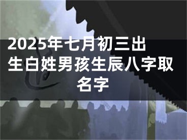 2025年七月初三出生白姓男孩生辰八字取名字