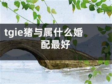 tgie猪与属什么婚配最好