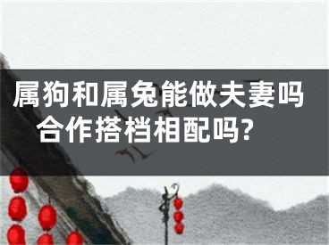 属狗和属兔能做夫妻吗 合作搭档相配吗?