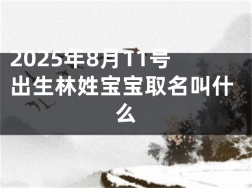 2025年8月11号出生林姓宝宝取名叫什么
