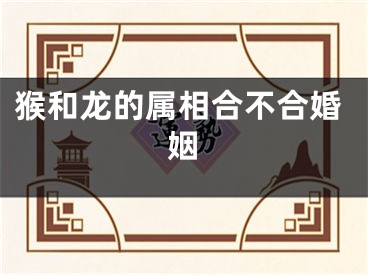 猴和龙的属相合不合婚姻