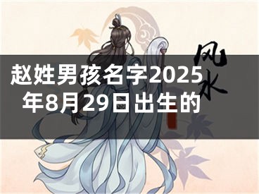 赵姓男孩名字2025年8月29日出生的