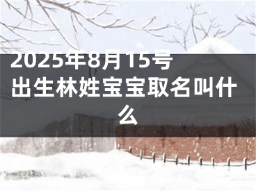 2025年8月15号出生林姓宝宝取名叫什么