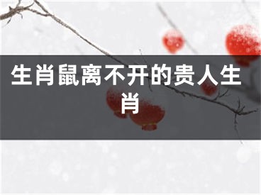 生肖鼠离不开的贵人生肖